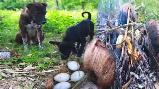 Visited the farm and cooked eggs for the dogs to eat