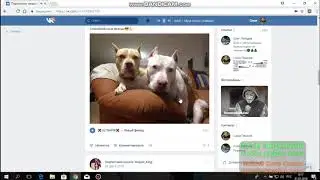 ПОЗДРАВЛЕНИЕ ОТ AVGUST KING :3