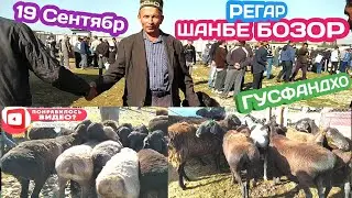 Шанбе бозор мол бозор Регар Нархои Гусфандхо / Гиссаркие овцы