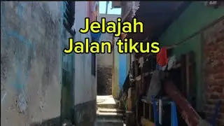 Jelajah Seru jalan tikus biar cepat sampai