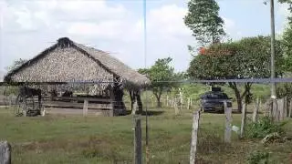 MI CANTA CRIOLLA | NEYER OROPEZA |