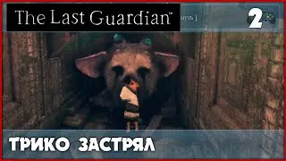 Первые враги [The Last Guardian] PS5 #2