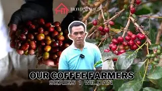 Our Coffee Farmers Series 1 - Wildan