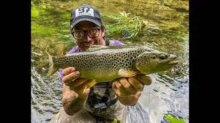 Daiwa Silver Creek Air TW