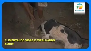 Projeto de Jesus: Ação Solidária Leva Alimentos e Carinho para Pets de Rua.
