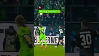 is this the perfect Assist 👀