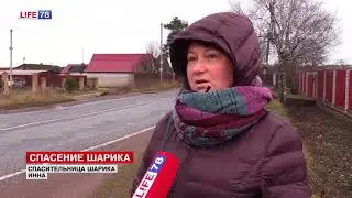 Творчество зоошизы и попил бабла