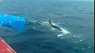 Kejadian Aneh di Laut Aceh