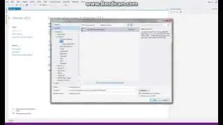 Microsoft Visual Studio page inspector error
