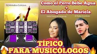 COMO EL PERRO BEBE AGUA + EL ABOGADO DE MARIELA | TIPICO PARA MUSICOLOGOS