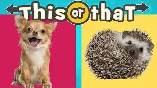 Would You Rather - Pets Edition 🐈🦮 Personality Quiz!