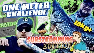 Metergädda challenge, STRAFFISKE - Förlorarna måste äta SURSTRÖMMING, 10kg+ GÄDDA