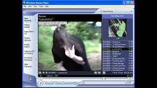 Bones - LimeWire
