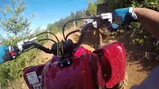 2019 Yamaha Raptor 700R SE - More of Waddell Creek Trails