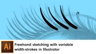 Freehand sketching with variable width-strokes in Illustrator | DynamicSketch