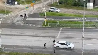 Автоподставщица кинулась на Пежо