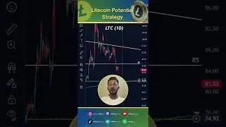 Litecoin Potential Strategy.