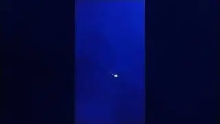 ЕСЛИ ЕБ...,ТО ТОЛЬКО ПРИНЦЕС😎🤤👾
