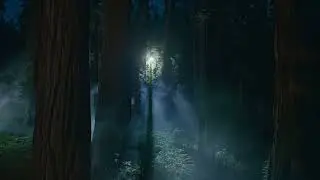 macOS Sequoia wallpaper/screensaver collection: the night of Sequoia