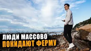 ПОЧЕМУ ЛЮДИ ПОКИДАЮТ ферму АЛЛАНХИЛЛ? Сезон окончен? РАБОТА на ферме в ШОТЛАНДИИ.