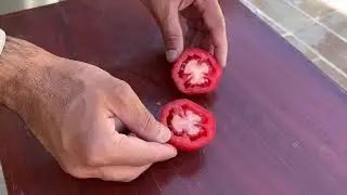 How to Grow Tomatoes from Seeds