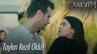 Ceylan, Taylan'ı rezil etti! - Canevim