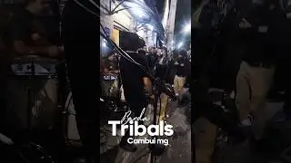 Banda Tribals Cambui🔊🎶😍#brasil #Cambui  #banda #música #music #PinkFloyd #shortsviral #minas #viral