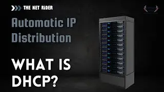 DHCP Server | IOS Based DHCP | Automatic IP Distribution