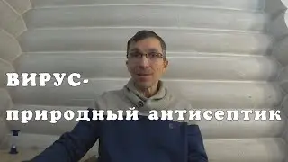 Роль вирусов ГРИППА, ОРВИ и пр. в нашей жизни!