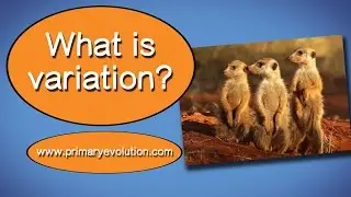 What is Variation?