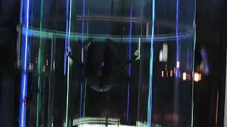 Freefly Igor Popov