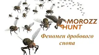 Феномен дробового снопа! Поговорим о длине этого самого снопа!