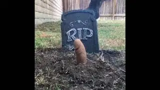 MORE VINES TO MAKE YOU LAUGH!