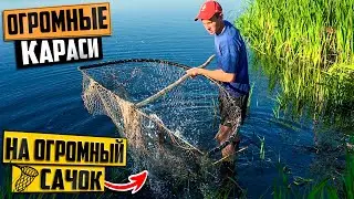 ОГРОМНЫЕ КАРАСИ на ОГРОМНЫЙ САЧОК! это ЛУЧШЕ чем ТАПТУХА!!!