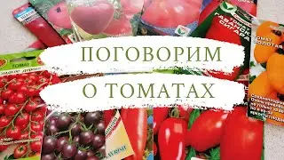 Мои садовые романсы. Поговорим о томатах .Сезона 2021.