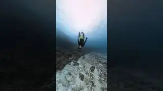 Insta360 X3 creative dive shot. #insta360 #x3