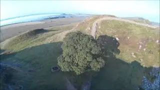 Hadrian's Wall Sycamore Gap