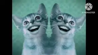 Numa Cat Low Voice