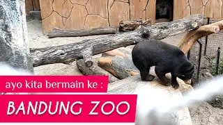 KEBUN BINATANG BANDUNG 2020 | BANDUNG ZOO | ZOOLOGICAL GARDEN