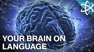 How Does Language Change Your Brain?