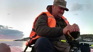 Я свободен