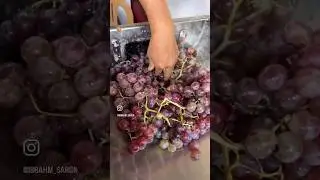 Üzüm pekmezi