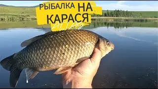 ПАРА КАРАСЕЙ ЗА 20 МИНУТ. ЛОВЛЯ КРУПНОГО КАРАСЯ НА ПОПЛАВОЧНУЮ УДОЧКУ.