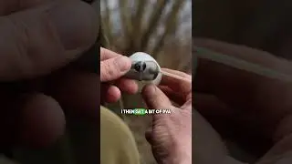 Steps to set up an Adjustable Zig! 🔂🎣