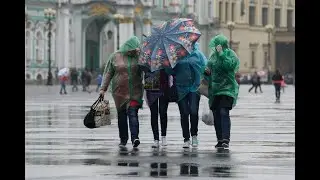 В Петербурге сегодня гроза...   Елена Кобзева