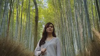 Kyoto iPhone 15 pro max apple log