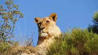 Zoey's trip to SA