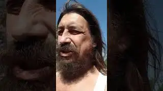Правда про собак