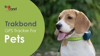 Trakbond GPS Tracker For Pets
