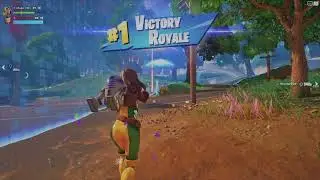 Fortnite Highlights Vol. 34: Organized Chaos